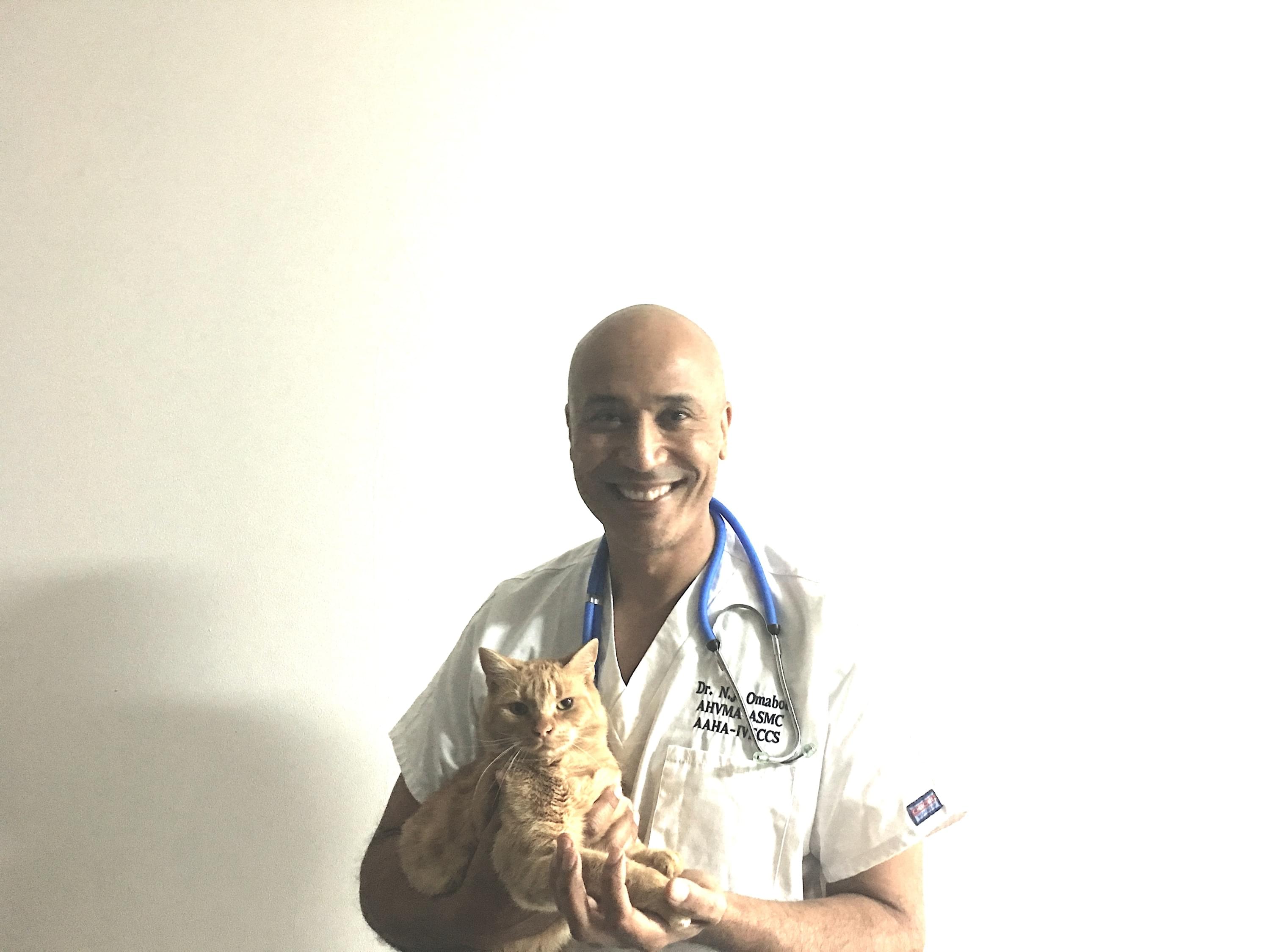 Dr. avec chat,Vétérinaire Versoix, Veterinaire Versoix, Versoix Veterinaire, Versoix Vétérinaire, cabinet vétérinaire versoix, cabinet veterinaire versoix, clinique vétérinaire versoix, vétérinaire de Garde Versoix,veterinaire de Garde Versoix, Cabinet Vétérinaire International